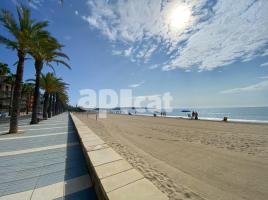 , 250.00 m², Paseo de Miramar, 50