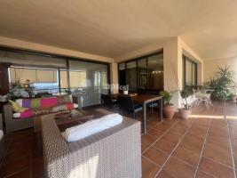 Pis, 365.00 m²