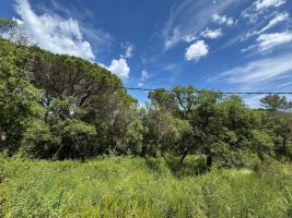 , 1842.00 m²