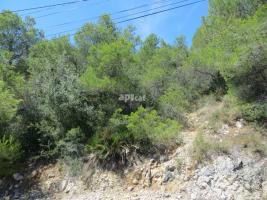 , 964.00 m²